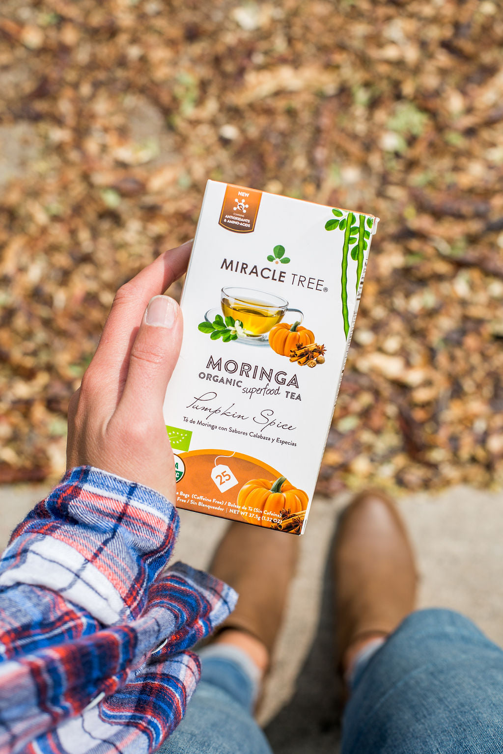 Miracle Tree's Organic Moringa Tea, Pumpkin Spice