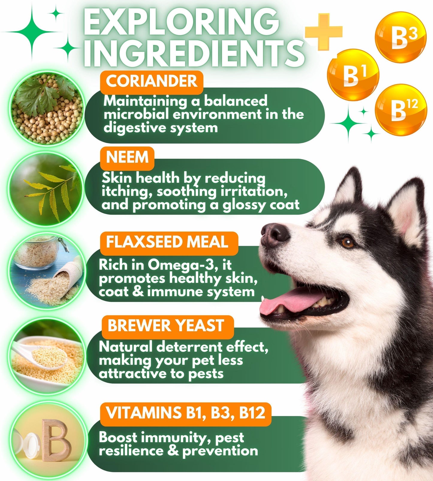 Natural Flea & Tick Prevention Chewable Tablets for Dogs – Chicken-Flavored
