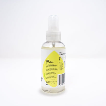 Hand Sanitizer - Travel Size Spray (2oz)
