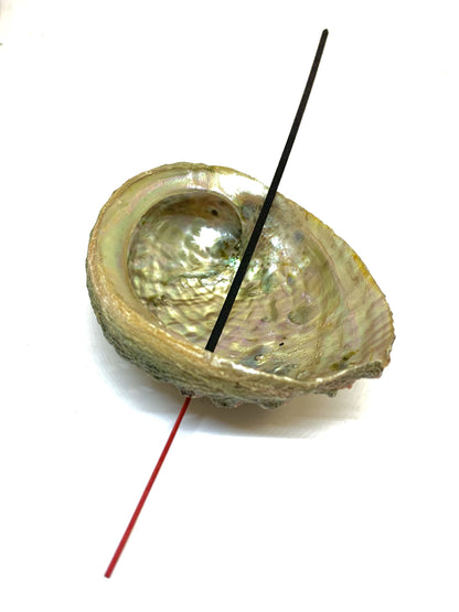 Abalone Shell Incense Holder - All-Natural, Handcrafted, 4-5 Inches Long | Perfect for Mind, Body, and Soul Cleansing