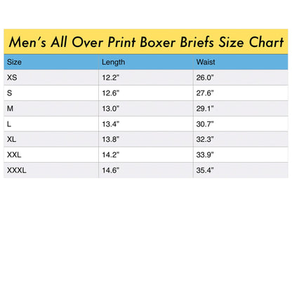 A PACKAGE FOR THE ZEBRAS Men's All Over Print Boxer Briefs
